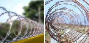 espiral maior